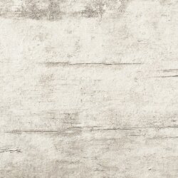 Плитка (60x60) LY24 PowderR - Plant