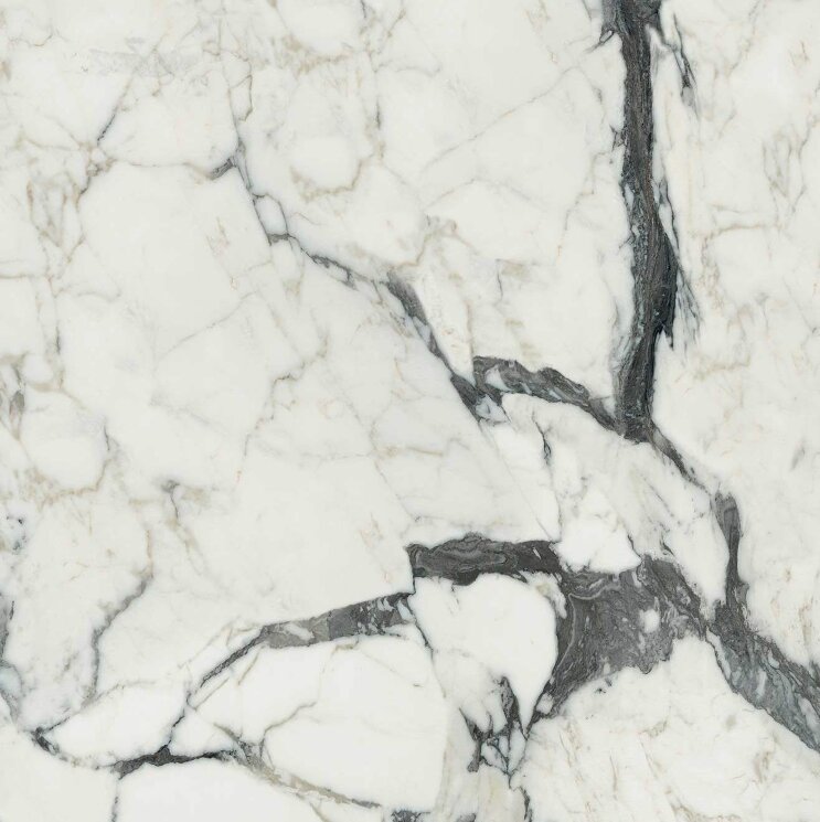 Плитка 120x120 Les Bijoux Calacatta Altissimo Blanc Glossy - Les Bijoux de Rex - 765759 з колекції Les Bijoux de Rex Rex Плитка 120x120 Les Bijoux Calacatta Altissimo Blanc Glossy - Les Bijoux de Rex - 765759 з колекції Les Bijoux de Rex Rex