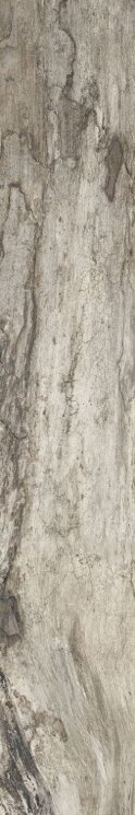 Плитка ректиф. (15х90) PETRIFIED TREE GREY BARK 914D8R з колекції Італійська плитка APE Плитка ректиф. (15х90) PETRIFIED TREE GREY BARK 914D8R з колекції Італійська плитка APE