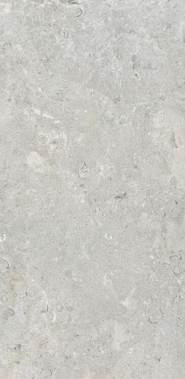 Плитка Signature Stone Grey - 59.7x119.7 DSS12640R Signature Stone з колекції Signature Stone Ascot
