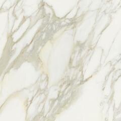 Плитка Creme Matte 80x80 Etoile Rex