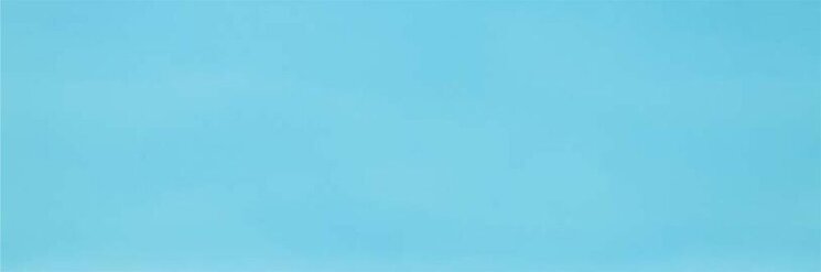 Плитка (30.5х91.5) 8X07 INTENSITY SKY з колекції Intensity Atlas Concorde