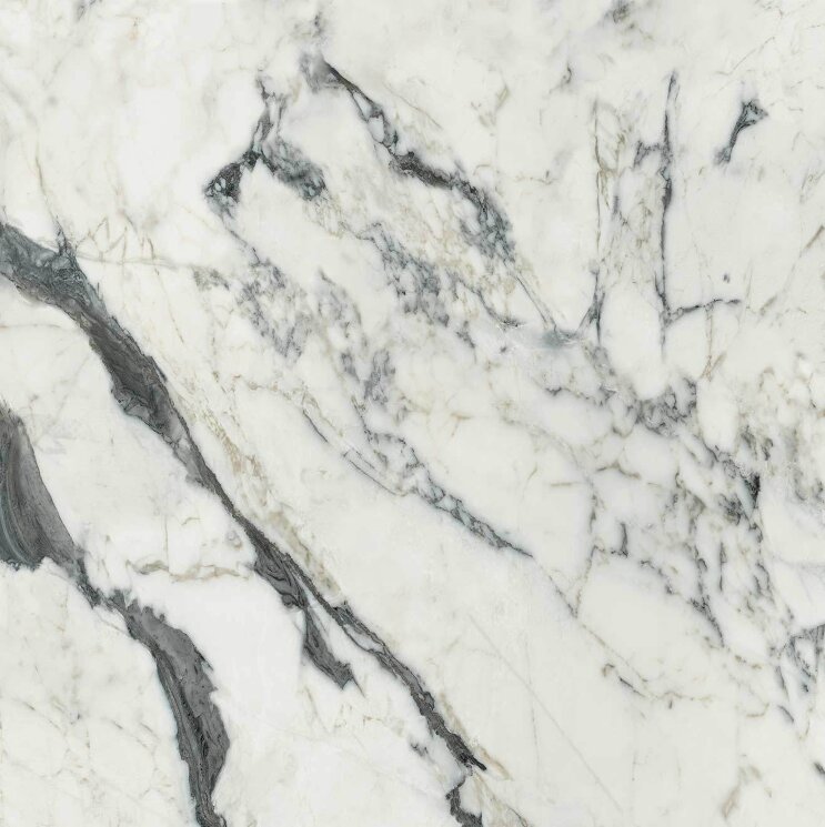 Плитка 120x120 Les Bijoux Calacatta Altissimo Blanc Matte - Les Bijoux de Rex - 765751 з колекції Les Bijoux de Rex Rex