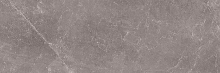 Плитка Rain Grey Polished 100x250 Exedra Kerlite з колекції Exedra Kerlite