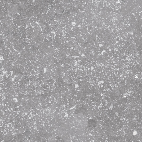 Плитка (20x20) 23570 Coralstone grey Eq-3 - Coralstone з колекції Coralstone Equipe