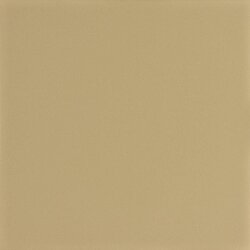 Плитка (20x20) Bege Natural 1035CI - Tecnica