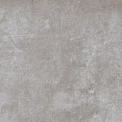 Плитка (60x60) LY36 AshR - Plant