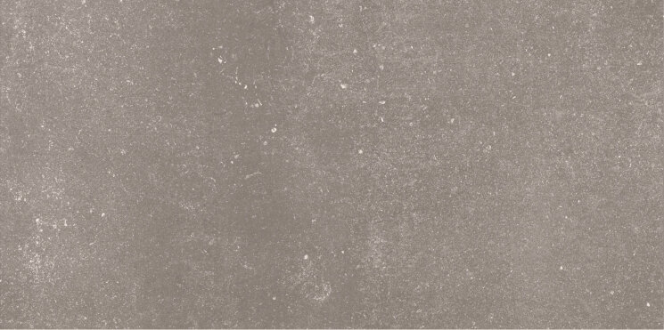 Плитка 44,3x88,8 Iron Ret-Piazen-P9067R з колекції Piazen Aleluia