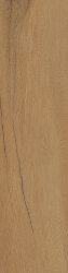 Плитка Leccio Oliato 20 mm - 30x120 1086651 I Lecci