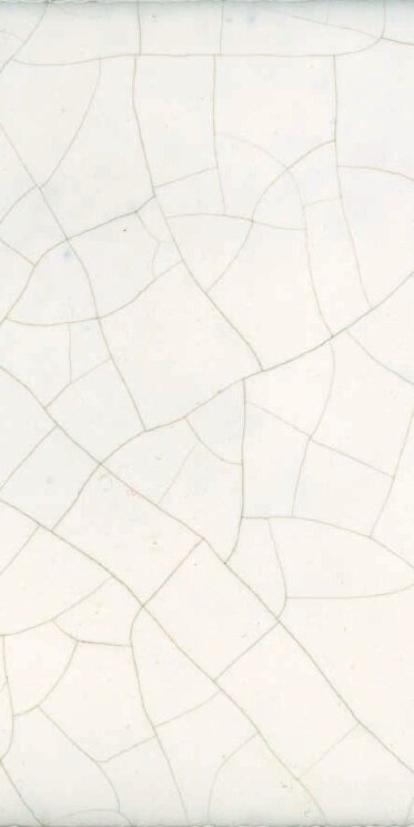 Плитка (10x20) Bianco Furore Rettangolo Fondo - Cotto Salernitano з колекції Cotto Salernitano Giovanni De Maio