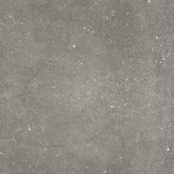 Плитка 60x60 PDLPRM PIETRA DI LUNA R11 GRIGIO RT Paul Ceramiche Pietra di Luna