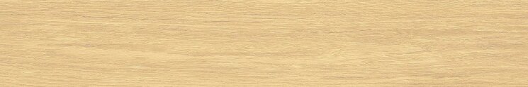 Плитка 20x120 2N68 Class Amber Antislip Edimax Astor W3 з колекції W3 EdimaxAstor
