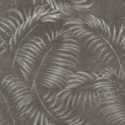 Декор Ferns Black - 120x120 1077477 Absolute Stone Декор Ferns Black - 120x120 1077477 Absolute Stone