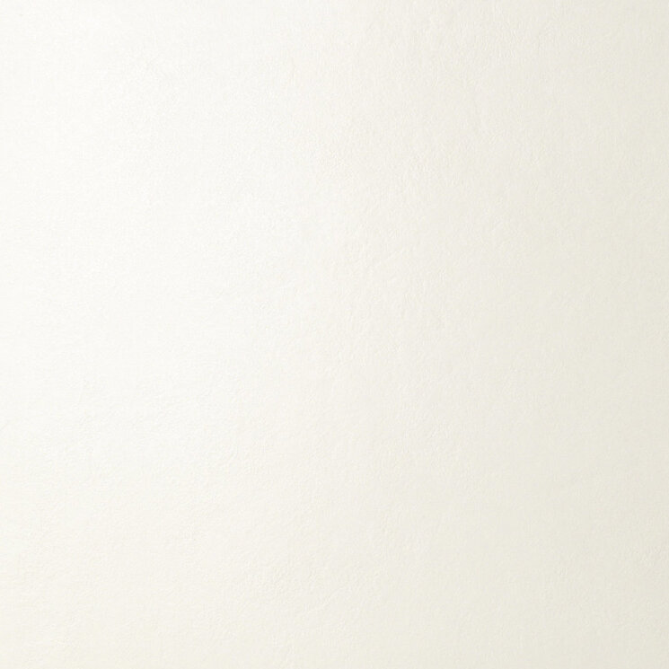 Плитка 60x60 Just Grey White Natural - Just Grey - X600114 з колекції Just Grey Porcelaingres Плитка 60x60 Just Grey White Natural - Just Grey - X600114 з колекції Just Grey Porcelaingres