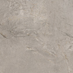Плитка (60x60) A262 E. Lux Silver Grey Lapp Rt - Elements Lux