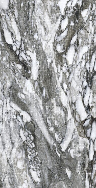 Плитка 59.4x119 0500905 LushC.Ren.Anim.Lapp. Roberto Cavalli Lush з колекції Lush Roberto Cavalli