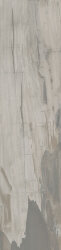 Плитка (24.3x99.5) PO2540RL Petrified Wood Grey Rett/Lapp - Petrified Wood