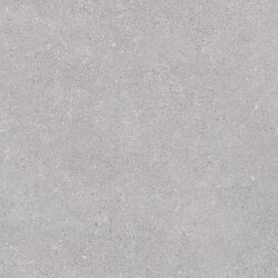 Плитка R Gris 59.3x59.3 Nassau Vives