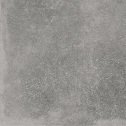 Плитка Cmne 120Ag Rm 120x120 C Mine Leonardo