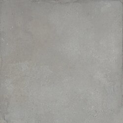 Плитка 80x80 PGM038 Polvere Fondovalle Pigmento