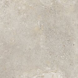 Плитка 60x60 P6136 Stone age greige natural Aleluia Stone Age