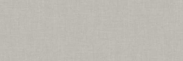 Плитка 100x300 Nexo Gris Nat 3,5 Mm з колекції Coverlam Nexo Coverlam