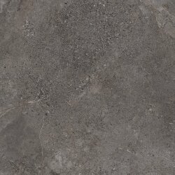 Плитка 60x60 P6138 Stone age antracite natural Aleluia Stone Age