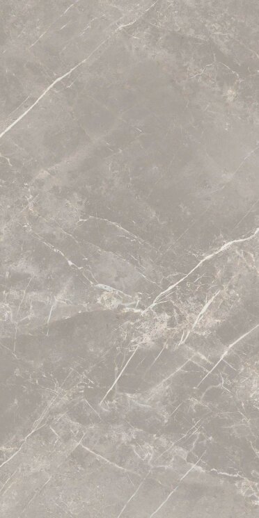 Плитка 60x120 Elemen. St. Grey Dolomia Luc Ret - Elemental Stone of Cerim - 766528 з колекції Elemental Stone of Cerim Cerim