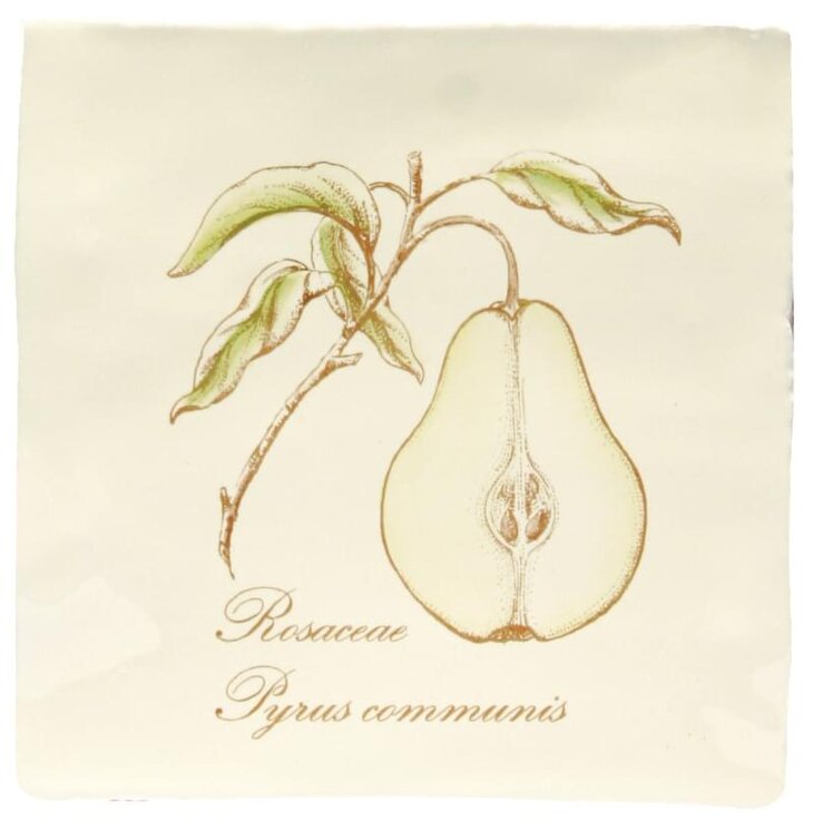 Декор Pear On Palomino 13x13 Residence Winchester з колекції Residence Winchester