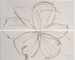 Декор 40x50 Ins. Daisy Taupe A+B - Lineup - PLUD33