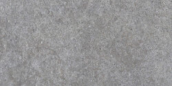 Плитка (29.9x60) 138045 Grey Rett - Shellstone
