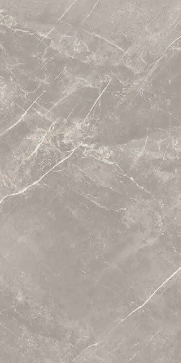 Плитка 60x120 Elemen. St. Grey Dolomia Nat Ret - Elemental Stone of Cerim - 766526 з колекції Elemental Stone of Cerim Cerim