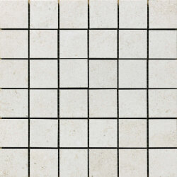 Мозаїка (30x30) PF00007920 Explorer 300Bianco Mosaico - Explorer