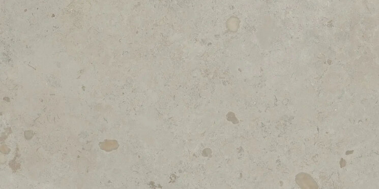 Плитка Chateau Ext Rect - 60x120 Asgard Asgard з колекції Asgard Gambini