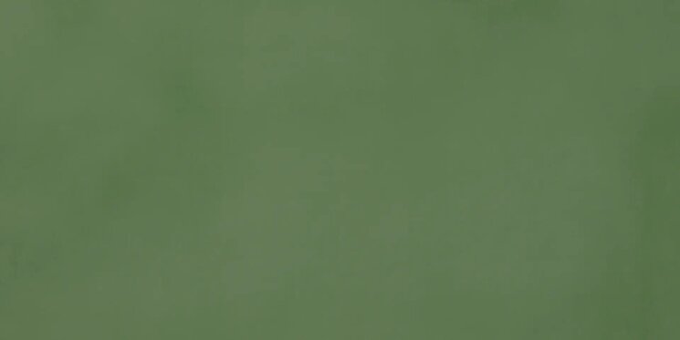 Плитка 45x90 11040034 R-Evolution Green Casalgrande Padana R-Evolution з колекції R-Evolution Casalgrande Padana