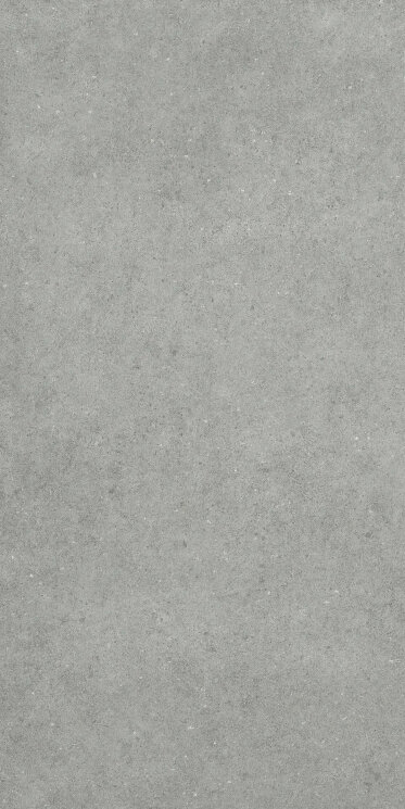 Плитка CLAYBORN 3 - Cemento - 60x120  Clayborn з колекції Clayborn Bardelli