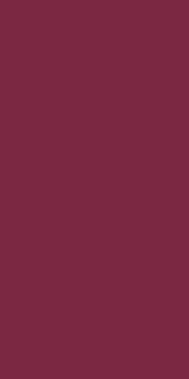 Плитка 160x320 Buildtech2.0 Burgundy6 Mm Glossy - Buildtech 2.0 - 766818 з колекції Buildtech 2.0 Floor Gres