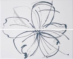 Декор 40x50 Ins. Daisy White A+B - Lineup - PLUD31
