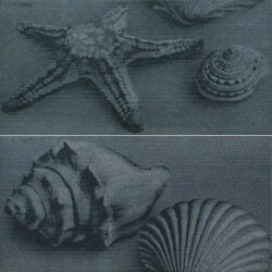 Декор (60x59.8) 50027- Decorosealifeblacka+Brettificato - Zen Sation