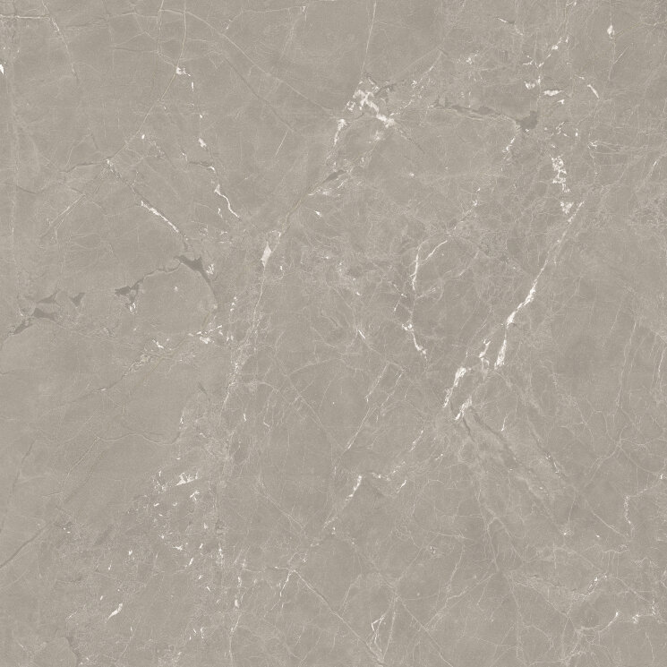 Плитка Neeko Taupe 120x120 Rc з колекції Neeko Azuvi
