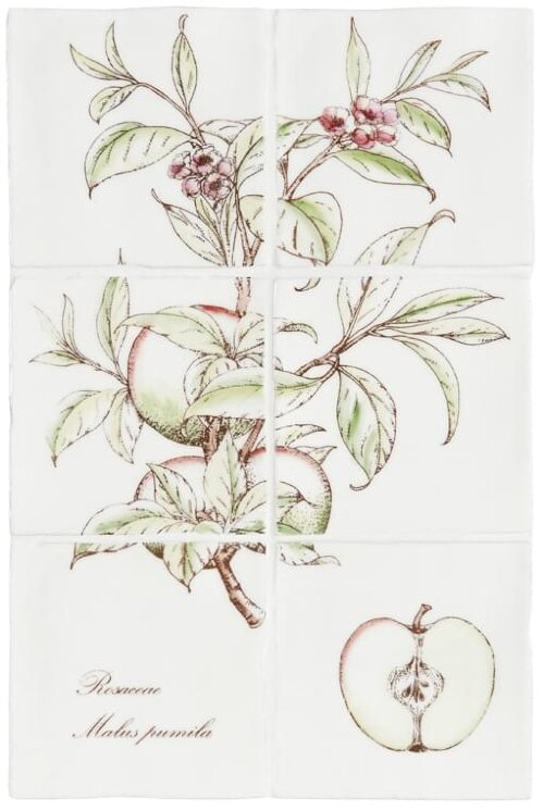 Декор Apple On Palomino 39x26 Residence Winchester з колекції Residence Winchester