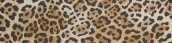 Бордюр (10x40) Leo 142 F. Do Giallo Leopardo - Zoo Design