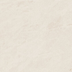 Плитка (60x60) 2566CT1BF White CT1 NR - Concept Плитка (60x60) 2566CT1BF White CT1 NR - Concept