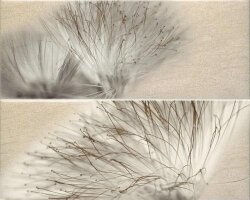 Декор Decor Set 2 Base Miel 20x50 Globe Ape