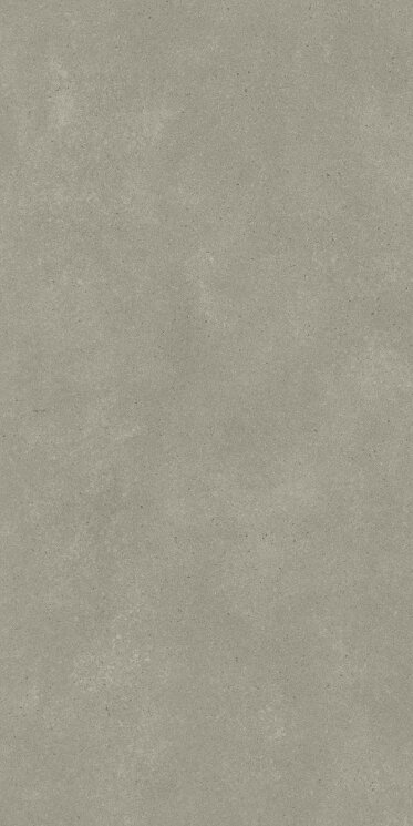 Плитка 45x90 Omni Iron Pol-Omni-3122H884U1 з колекції Omni Revigres