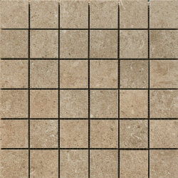 Мозаїка (30x30) PF00007923 Explorer 300Tabacco Mosaico - Explorer