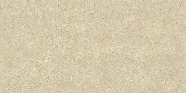 Плитка 60x120 Omnistone Bone Matt Ret-Omnistone-312BD388U1 з колекції Omnistone Revigres
