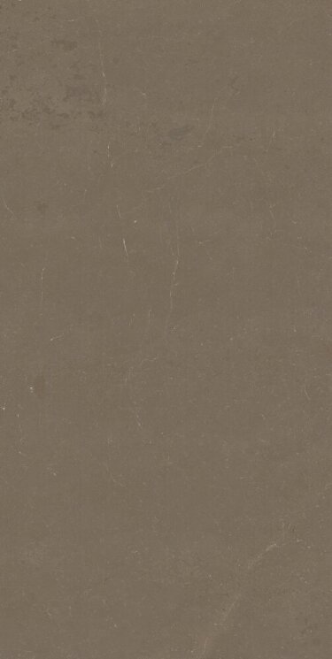 Плитка 59*117,5 Cave+ Bronze Lucido Rett 6,5 Mm T610405 Cave Saime ceramiche з колекції Cave+ Saime Плитка 59*117,5 Cave+ Bronze Lucido Rett 6,5 Mm T610405 Cave Saime ceramiche з колекції Cave+ Saime