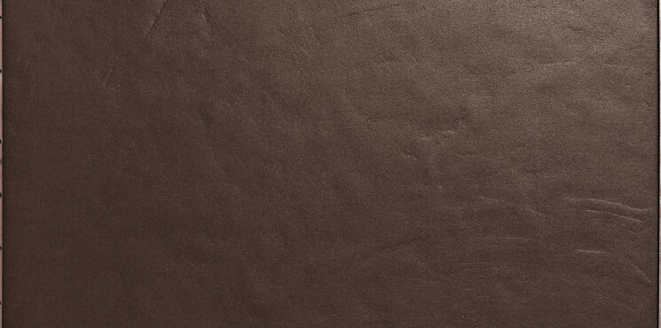 Плитка 30x60 Arch. Dark Brown Gloss - Architecture - 4796551 з колекції Architecture Casalgrande Padana