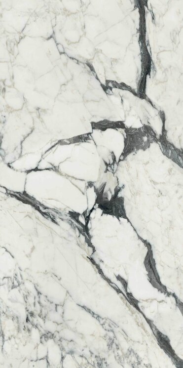 Плитка 120x240 Les Bijoux Calacatta Altissimo Blanc Glossy - Les Bijoux de Rex - 765721 з колекції Les Bijoux de Rex Rex